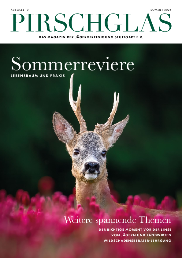 pdf-preview