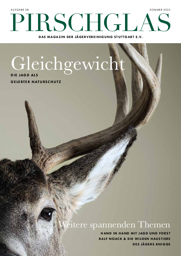 pdf-preview