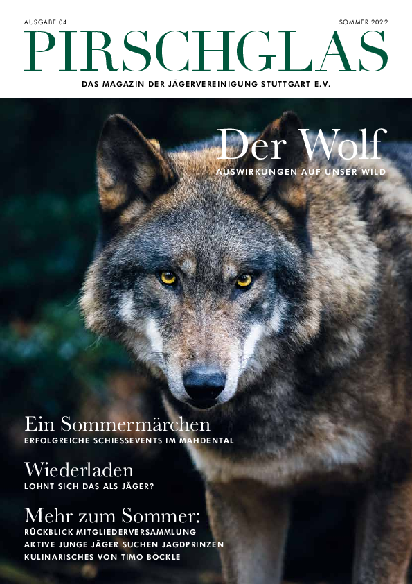pdf-preview